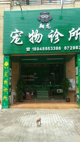 翔龙宠物诊所