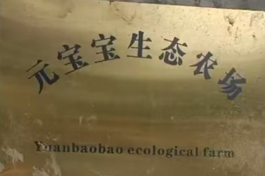元宝宝生态农场